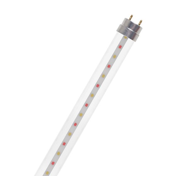 LED TUBE T8 18 EM FLUORA 600 mm 6.6W - , изображение 5