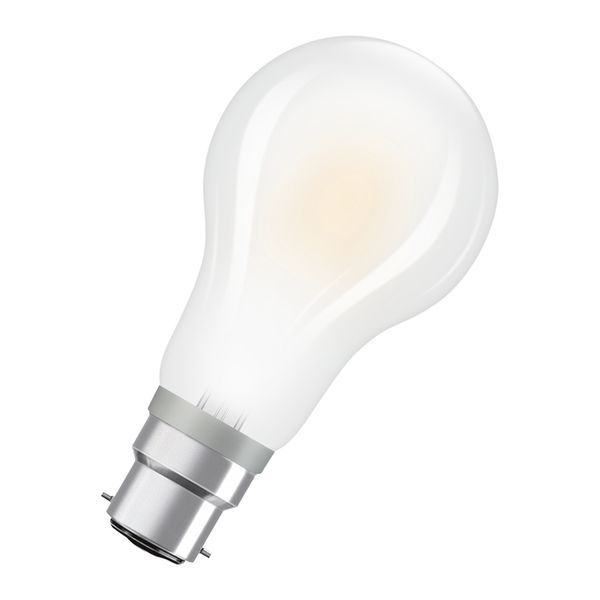 LED Star Classic A 150 Filament 17W 840 Frosted B22d - , изображение 5