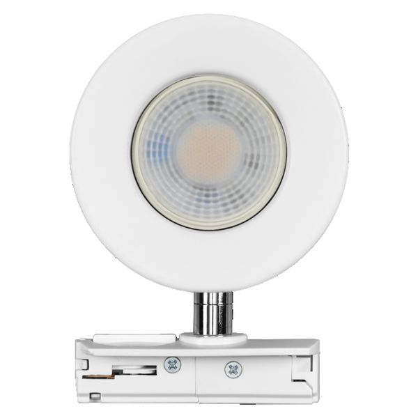 Tracklight Spot Beam 4.8W 830 White - , изображение 3