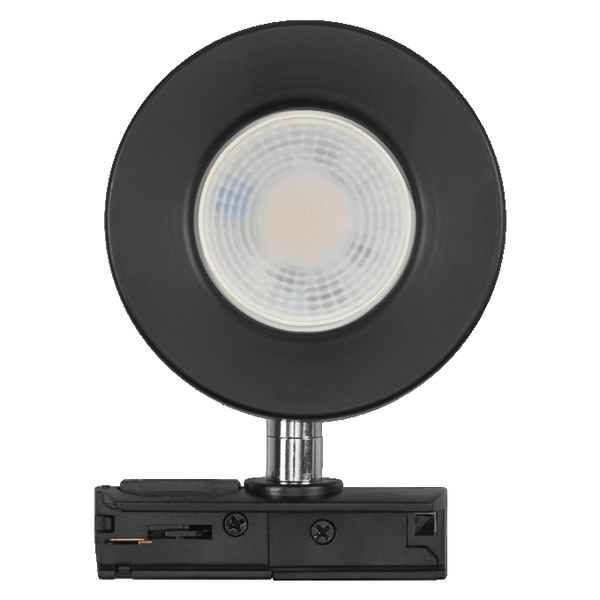 Tracklight Spot Beam 4.8W 830 Black - , изображение 3