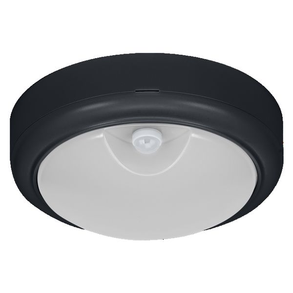 LED Bulkhead Motus Round 15W CCT Sensor Black - 