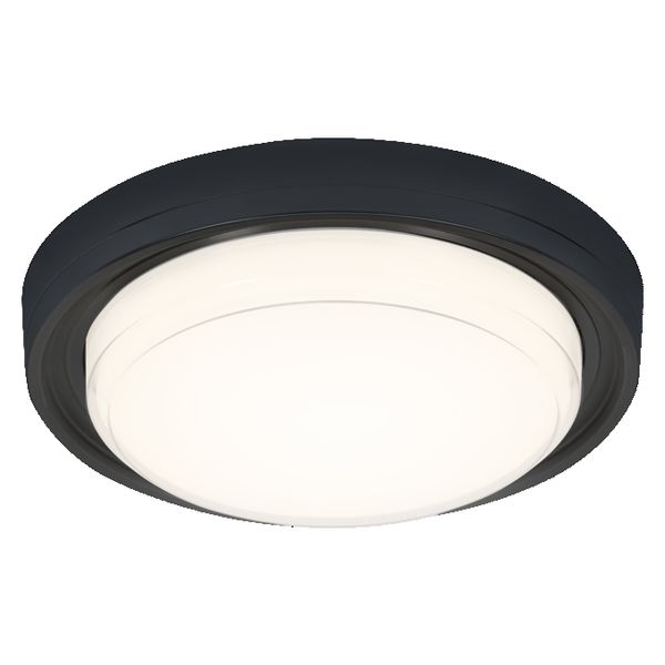 LED Bulkhead Style Round 24W CCT Black - , изображение 4