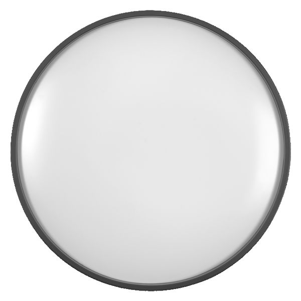 Orbis Gisela 385mm 24W 830 Black - , изображение 3