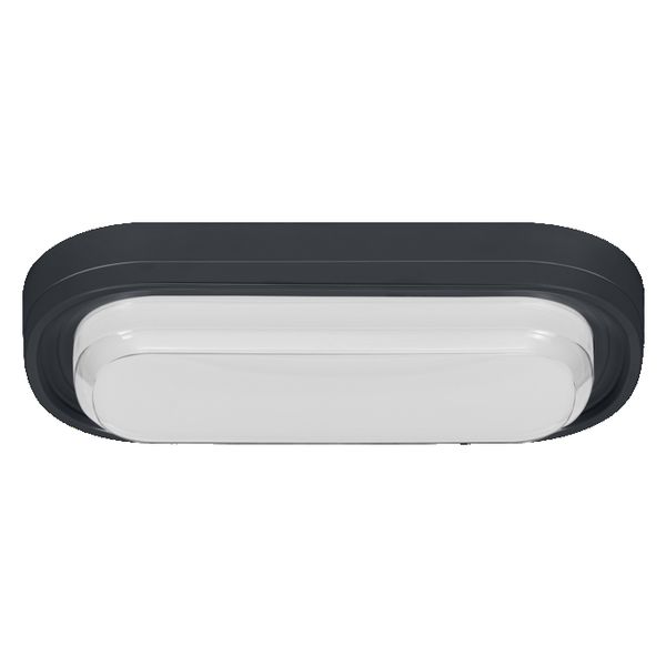 LED Bulkhead Style Oval 24W CCT Black - 