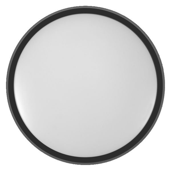 Orbis Noemi 480mm 36W 830 Click DIM Black - , изображение 3