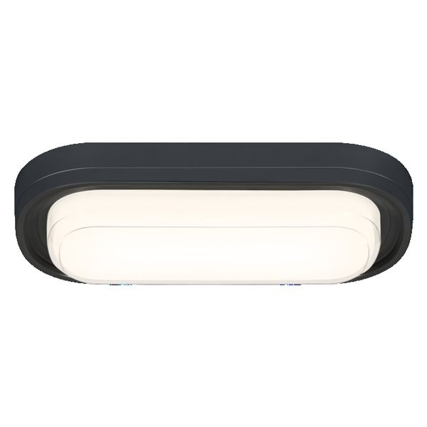 LED Bulkhead Style Oval 24W CCT Black - , изображение 4