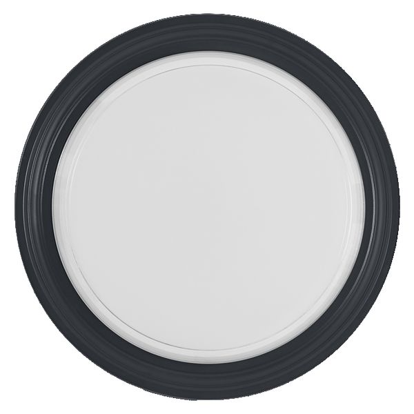 LED Bulkhead Style Round 24W CCT Black - , изображение 3