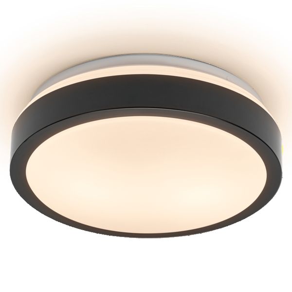 Essential Orbis E27 220mm 1 Lamp Black - , изображение 4