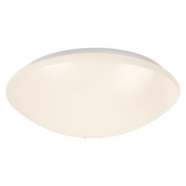 Ceiling Essential 250mm E27 - , изображение 5