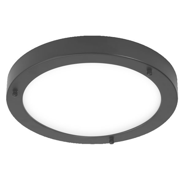 Bathroom Ceiling 310mm E27 Black - , изображение 4