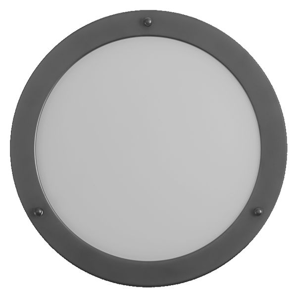 Bathroom Ceiling 310mm E27 Black - , изображение 3
