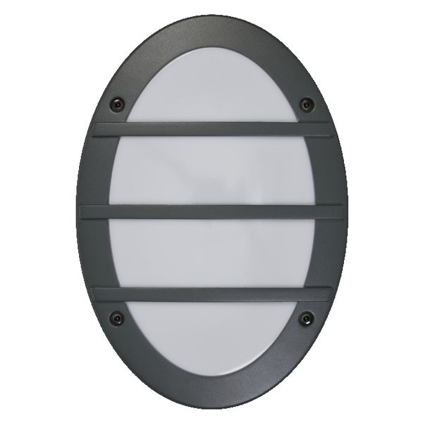 Endura Classic E27 IP65 Orbick Wall Dark Grey - , изображение 3