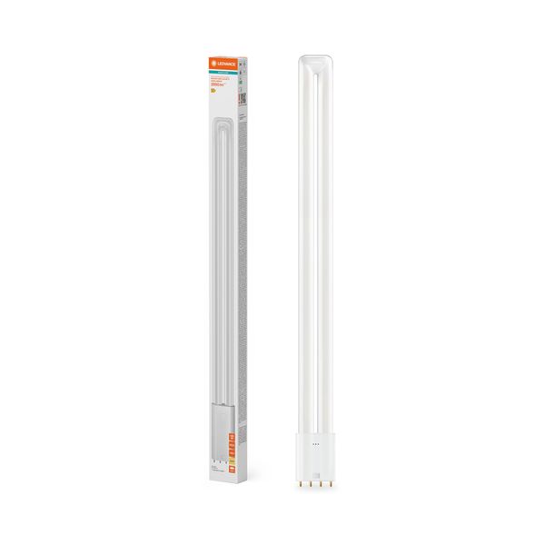 DULUX LED L55 HF & AC MAINS VALUE 25W 830 2G11 - , изображение 7