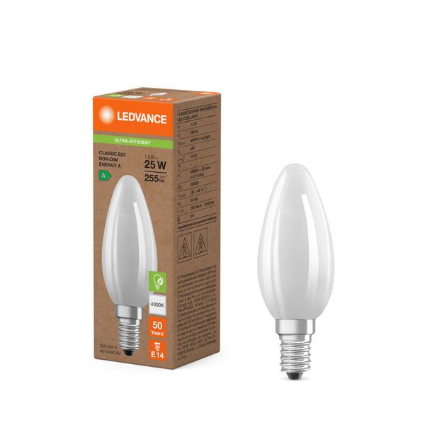 LED Classic B 25 Filament Energy efficiency class A S 1.2W 840 Frosted E14 - , изображение 5
