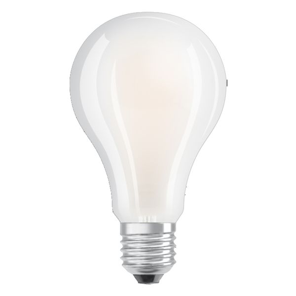 LED Classic A 200 Filament V 24W 840 Frosted E27 - , изображение 6