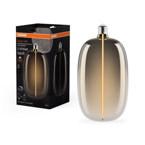 Vintage 1906 Big Elipse Oval 10 Magnetic DIM 4.8W 818 Smoke E27 - , изображение 7