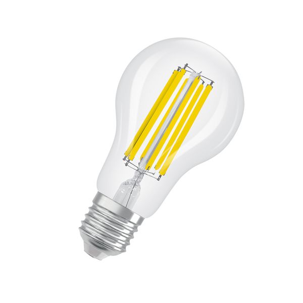 LED Classic A 150 Filament V 17W 865 Clear E27 - , изображение 3