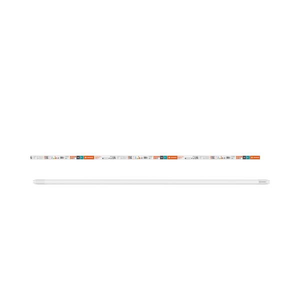LED TUBE T8 UNIVERSAL VALUE 1500 mm 24W 865 - , изображение 3