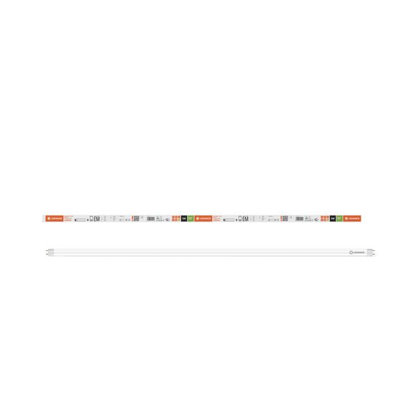 LED TUBE T8 EM FOOD 1200 mm 11.6W 833 - , изображение 5
