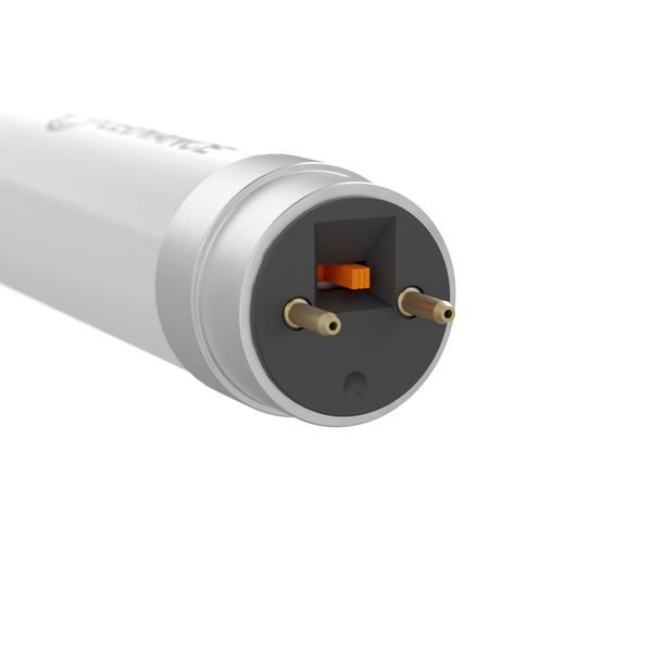 LED TUBE T8 EM PERFORMANCE 1200 mm 13.1W/15.6W 865 - , изображение 3