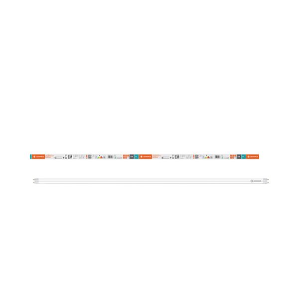 LED TUBE T8 EM VALUE 1200 mm 17.7W 840 - , изображение 5