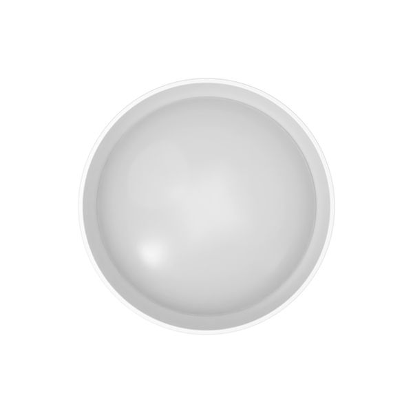 SF CIRCULAR 500 FRAME WT - , изображение 4