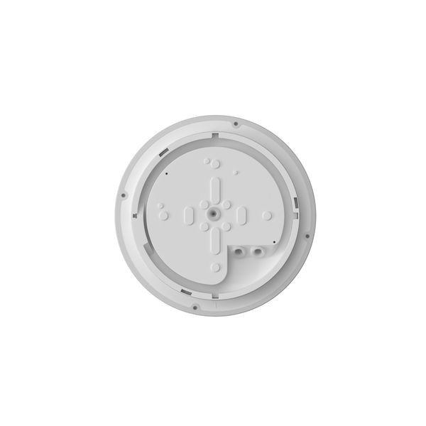 SF FLAT RD 330 P 19W ML 83040 - , изображение 4
