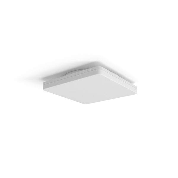 SF FLAT SQ SN 330 P 19W ML 83040 - , изображение 5