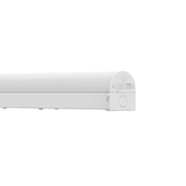 BAT CBO 1200 V 36W ML 84065 WT - , изображение 5