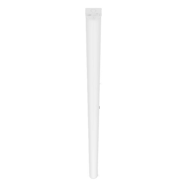 BAT CBO 1500 V 48W ML 84065 WT - , изображение 2