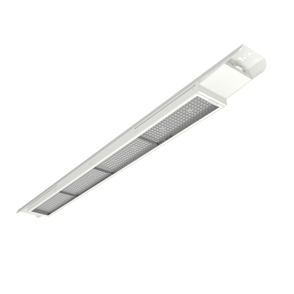 LB FLEX 1500 P 105W 840 W - , изображение 3