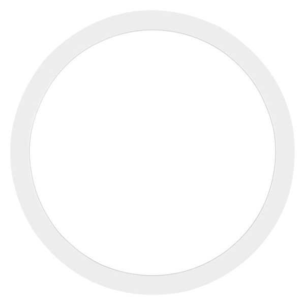 SF BLKH RING 300 WT - , изображение 3