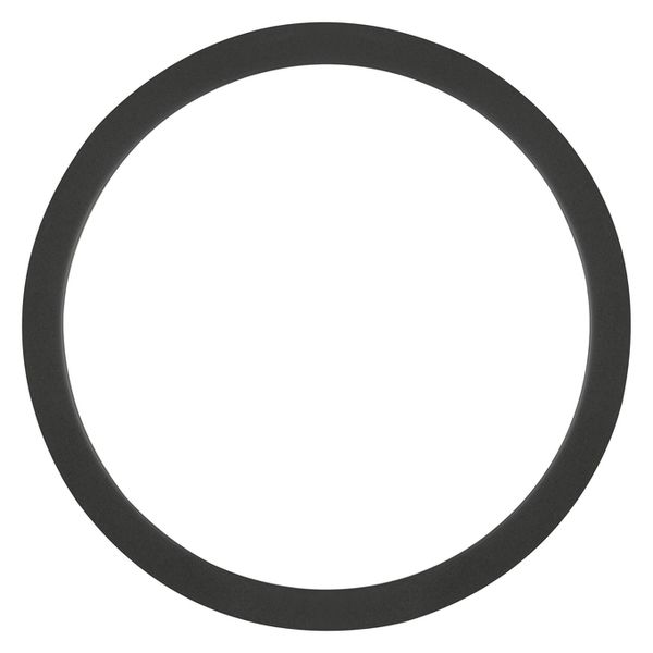 SF BLKH RING 300 BK - , изображение 3