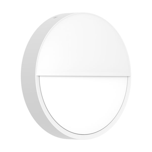 BLKH RD Eyelid 300 WT - 