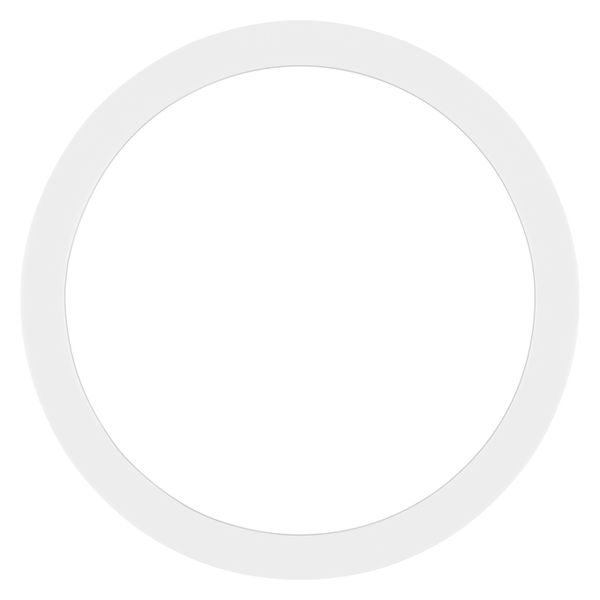 SF BLKH RING 250 WT - , изображение 3