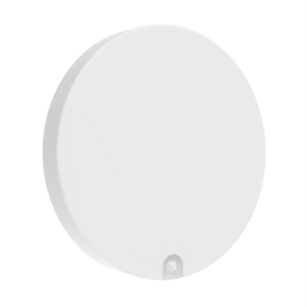 SF DISC EL SNP 300 V 21W ML 83040 - 