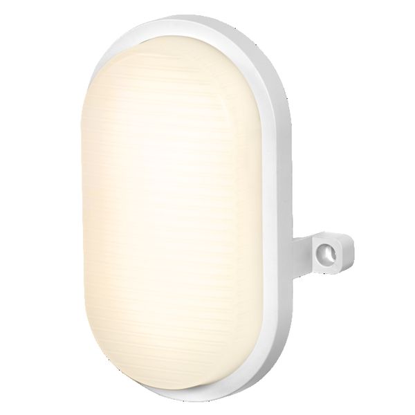 Bulkhead 4W/7W/9W CCT White - , изображение 4