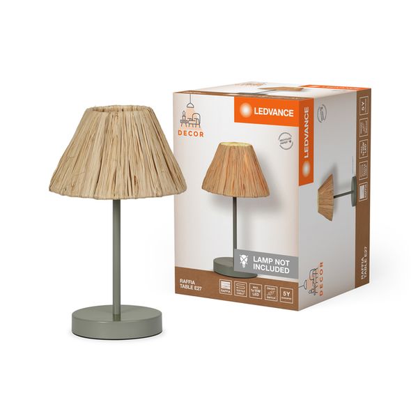 Decor Raffia Table E27 Green - , изображение 2